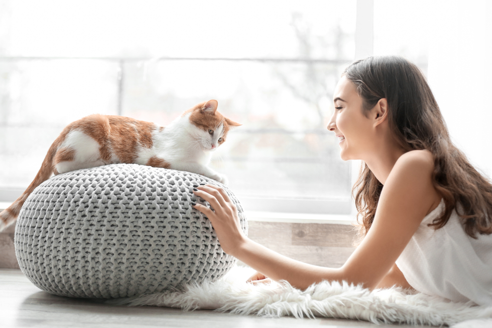Japanese Formula - Best In Show - Best Pet Food For Your Pet