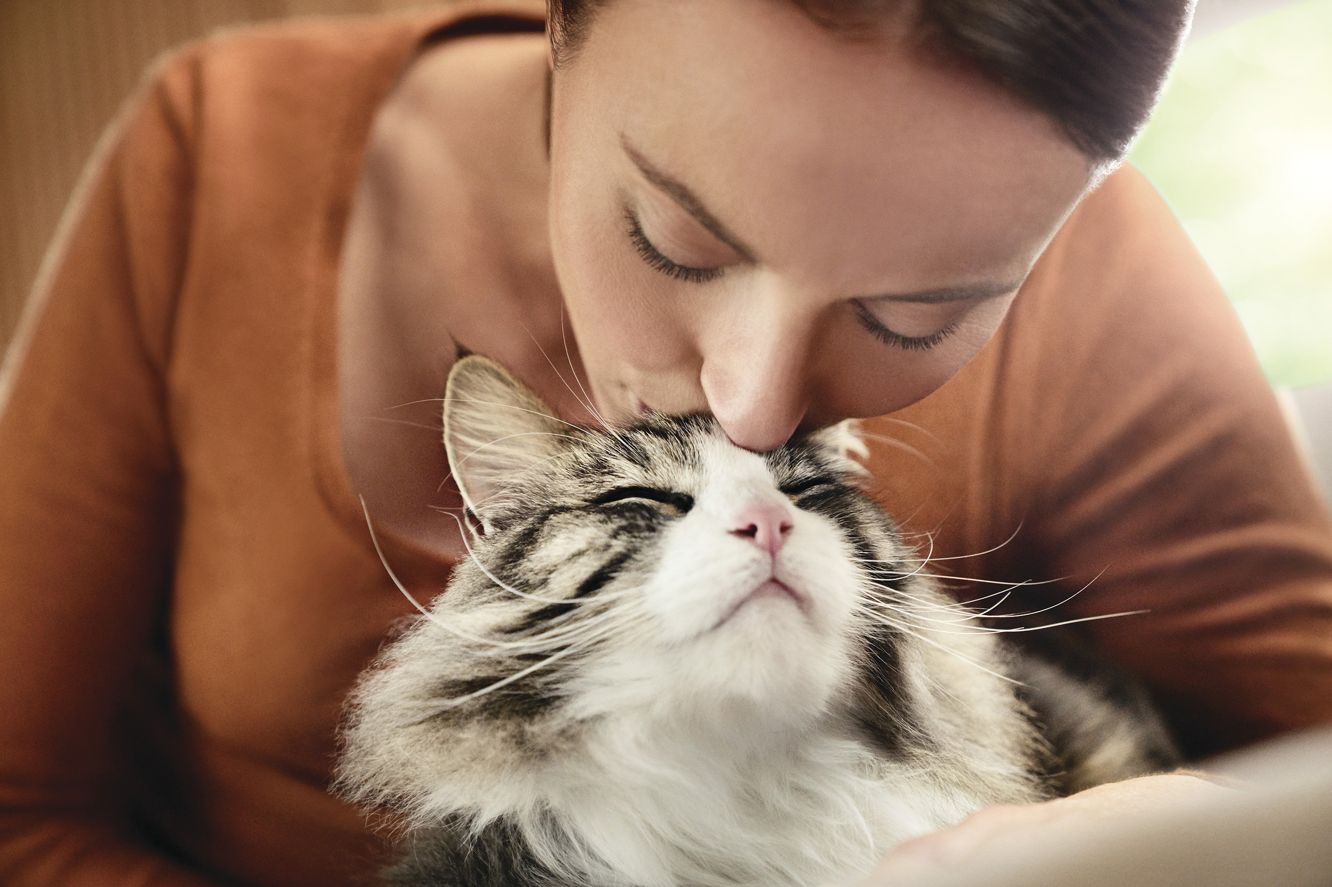Super Premium - Best In Show - Best Pet Food For Your Pet